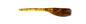 2.25" Fluke (Watermelon Pumpkin)