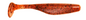 3.8 Paddle Tail Minnow (Cinnamon Roll)